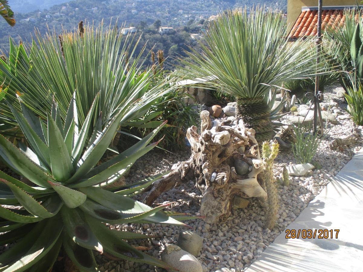 Bed and Breakfast Les Mimosas Menton Exterior foto